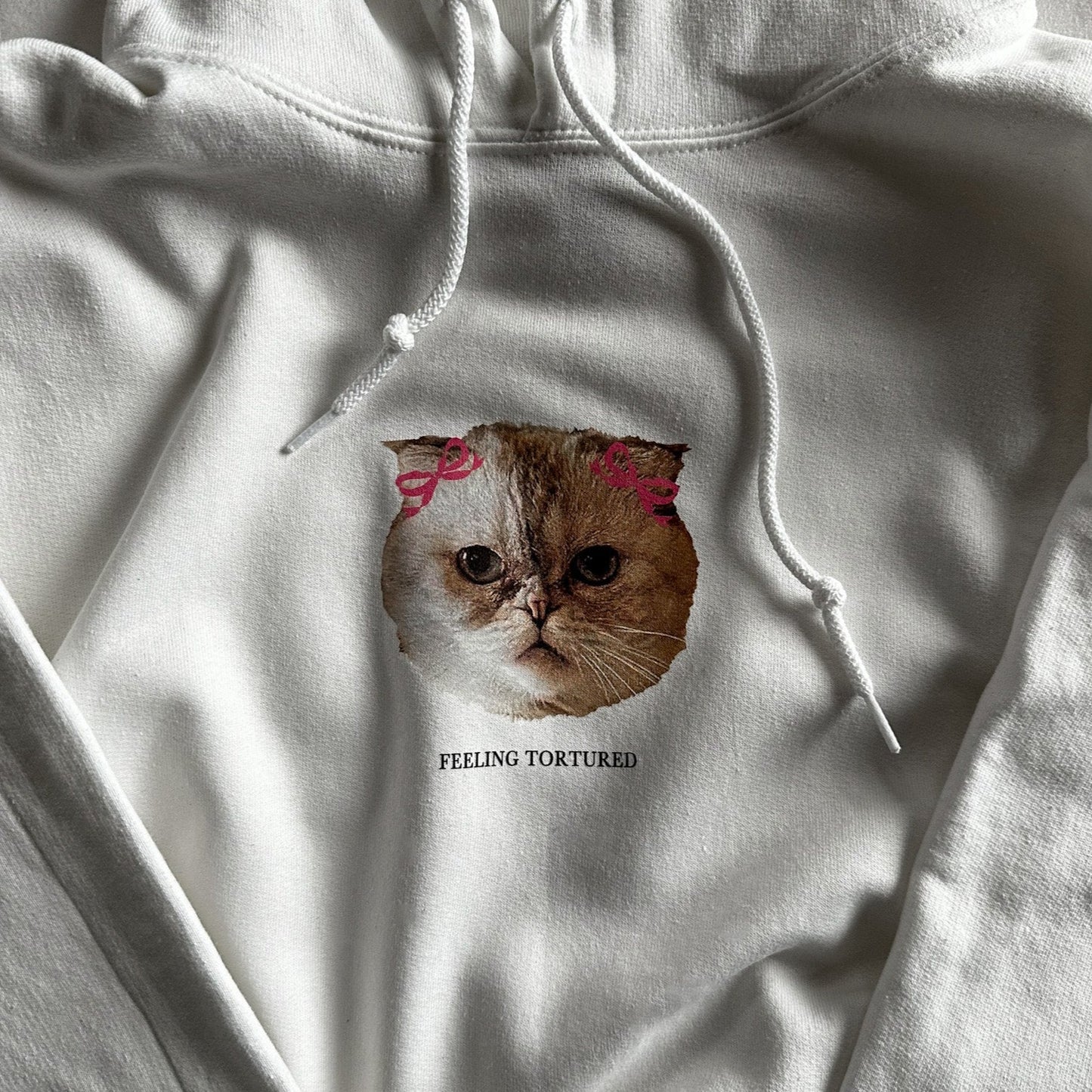 Feeling Tortured Cat Hoodie