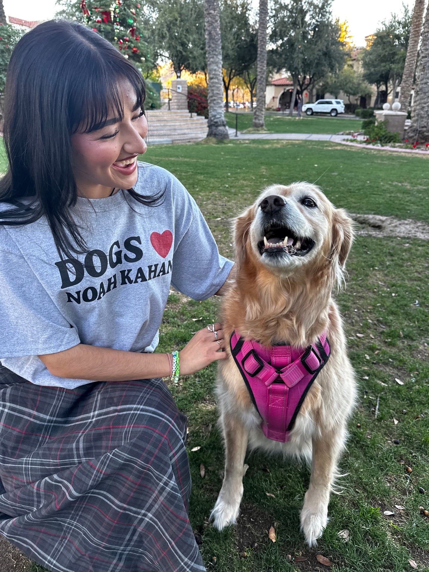 DAD + MOM + DOG T-shirt