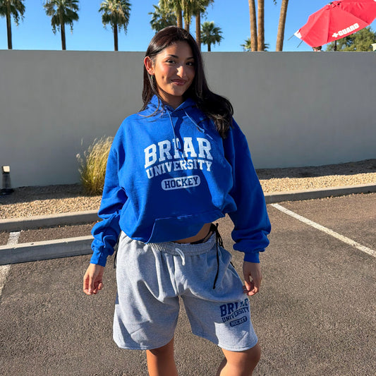 BRIAR Boyfriend Hoodie